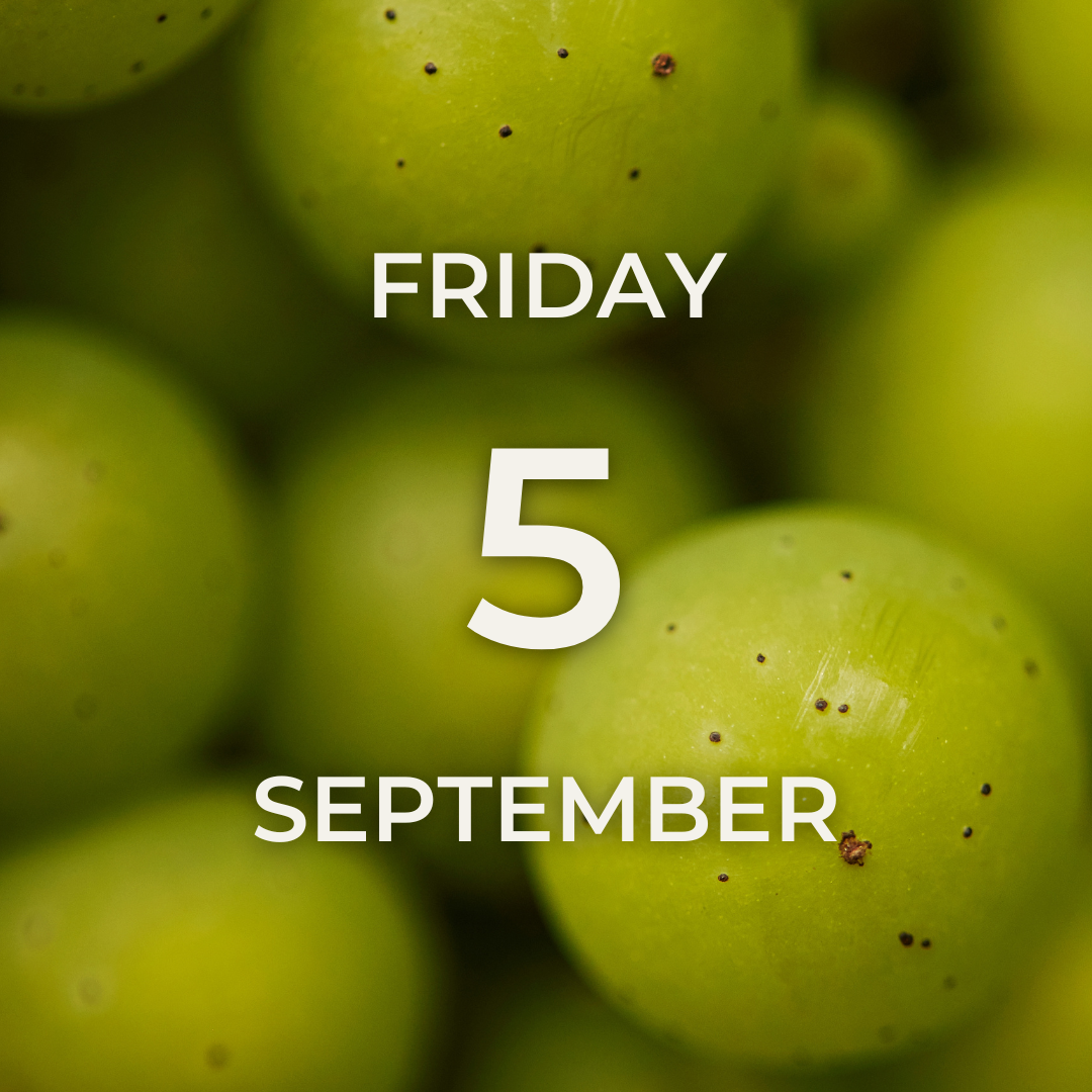 Vineyard Tour & Tasting – Friday 5th September