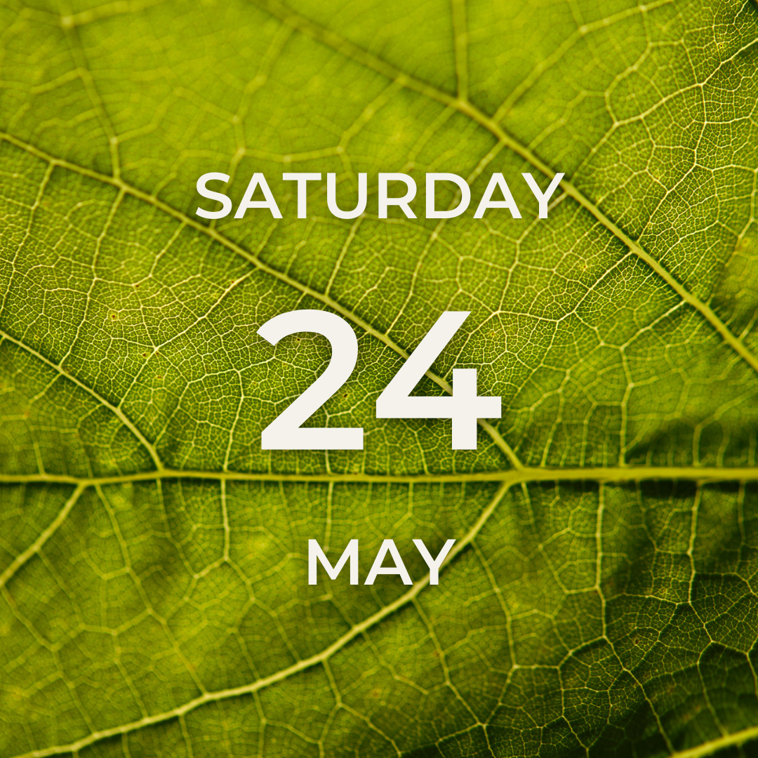 Vineyard Tour & Tasting – Saturday 24th May