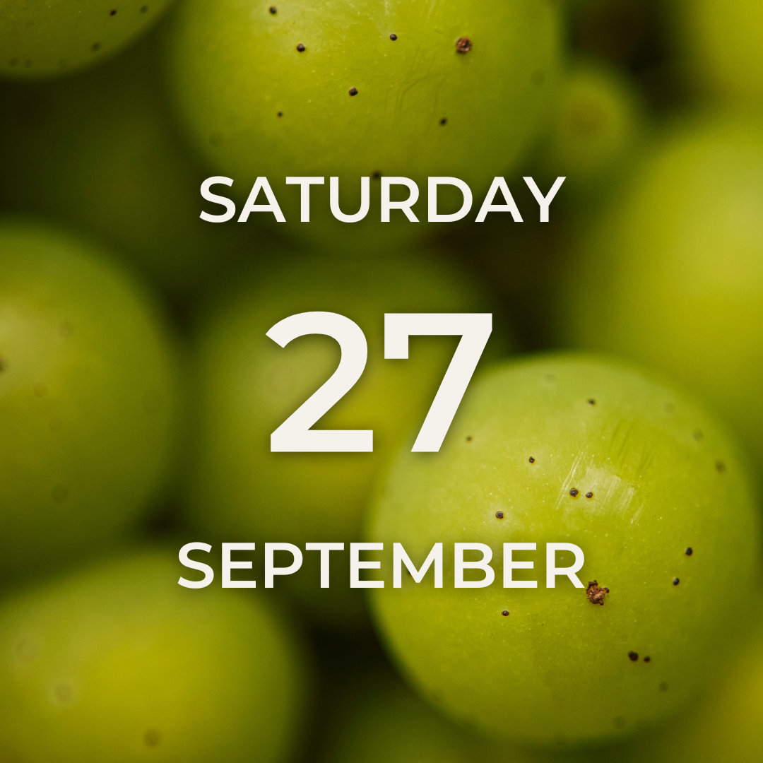 Vineyard Tour & Tasting – Saturday 27th September