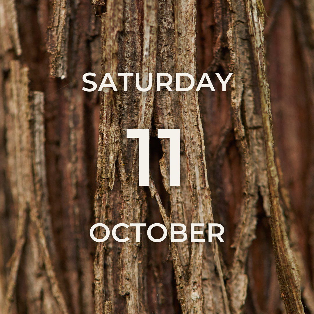 Vineyard Tour & Tasting – Saturday 11th October