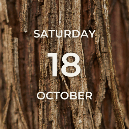 Vineyard Tour & Tasting - Saturday 18th October