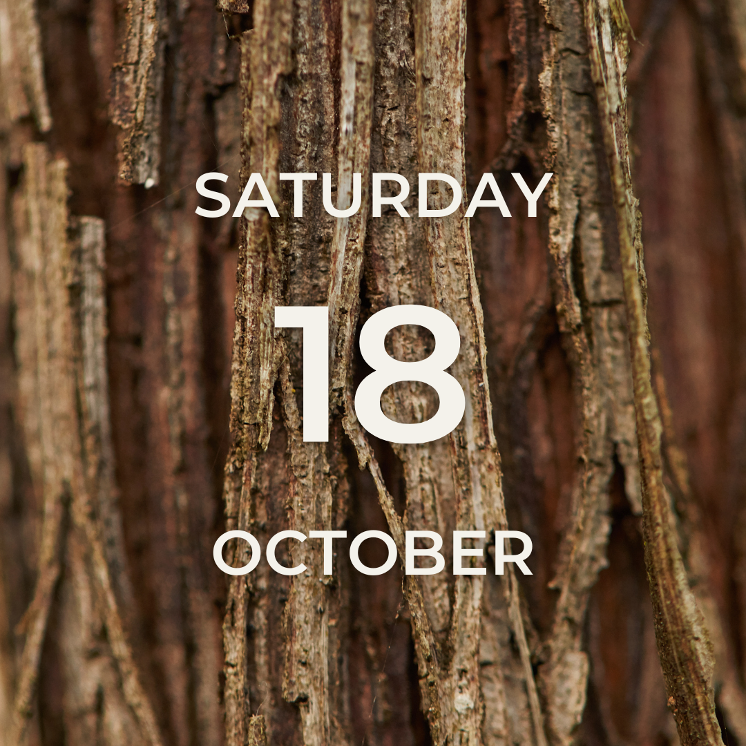 Vineyard Tour & Tasting – Saturday 18th October