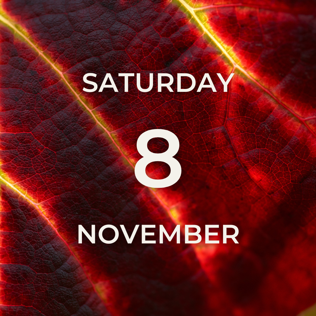 Vineyard Tour & Tasting – Saturday 8th November
