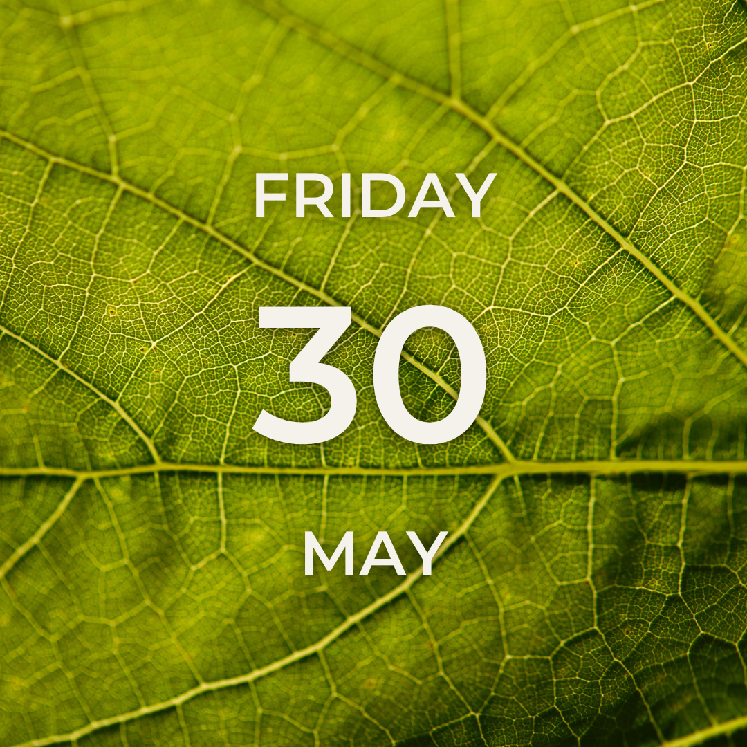 Vineyard Tour & Tasting – Friday 30th May