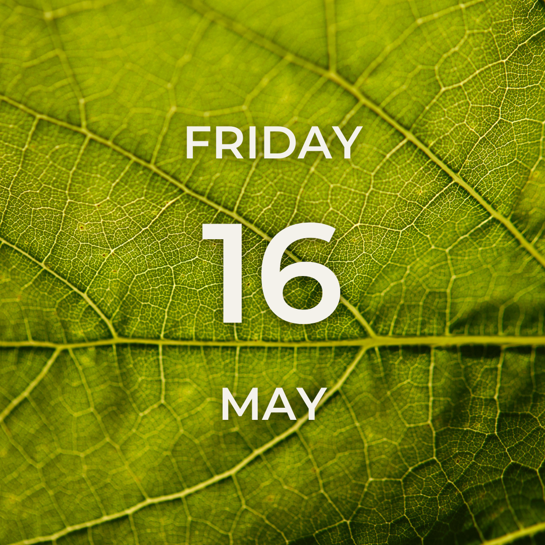 Vineyard Tour & Tasting – Friday 16th May
