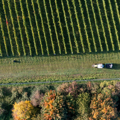 Voucher for a Vineyard and Winery Tour and Tasting