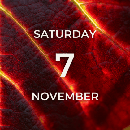 Vineyard Tour & Tasting - Saturday 7th November