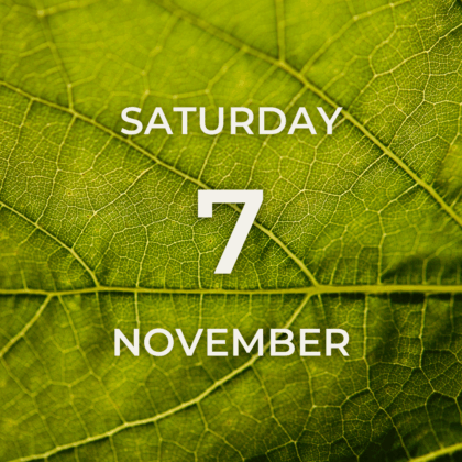 Vineyard Tour & Tasting - Saturday 7th November