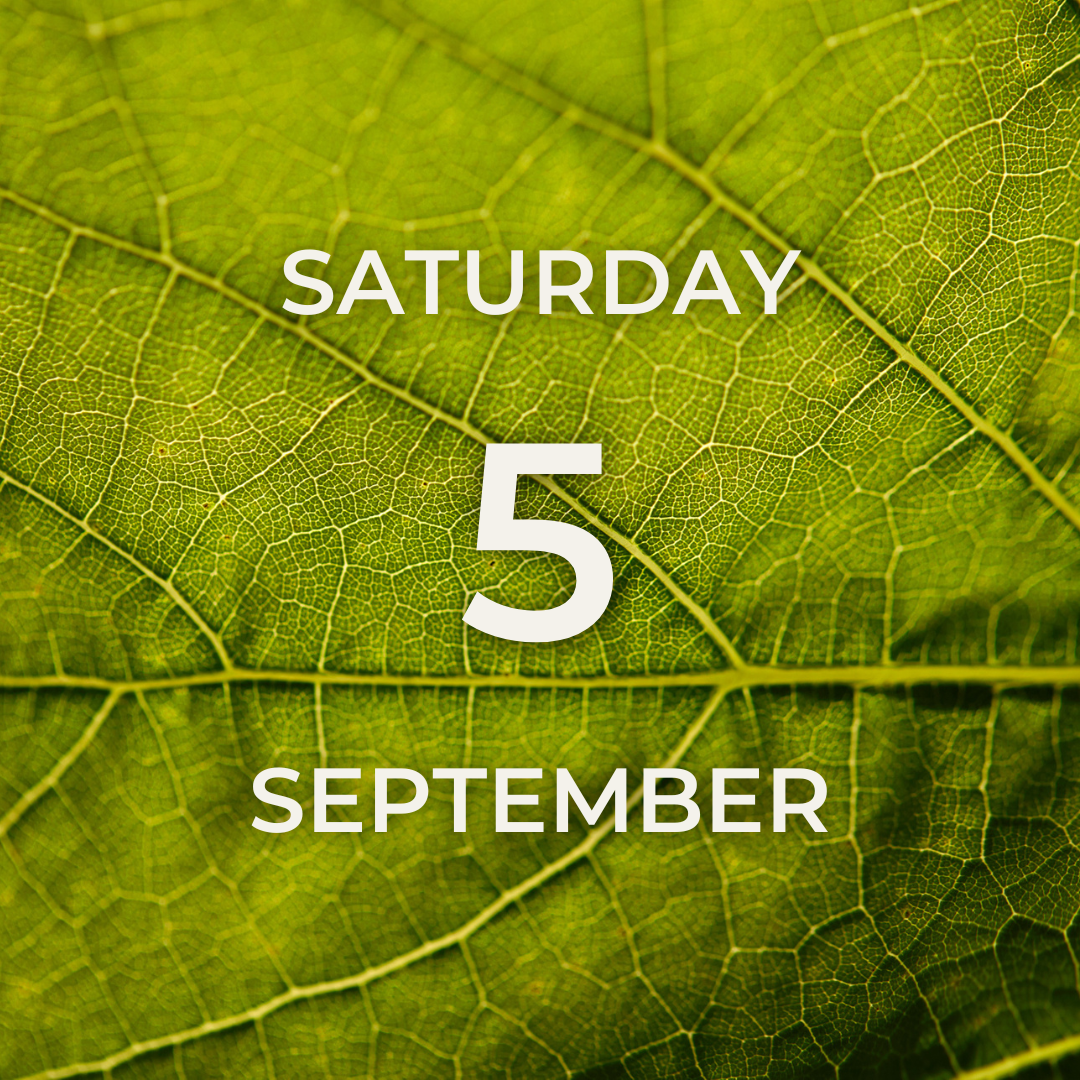 Vineyard Tour & Tasting – Saturday 5th September