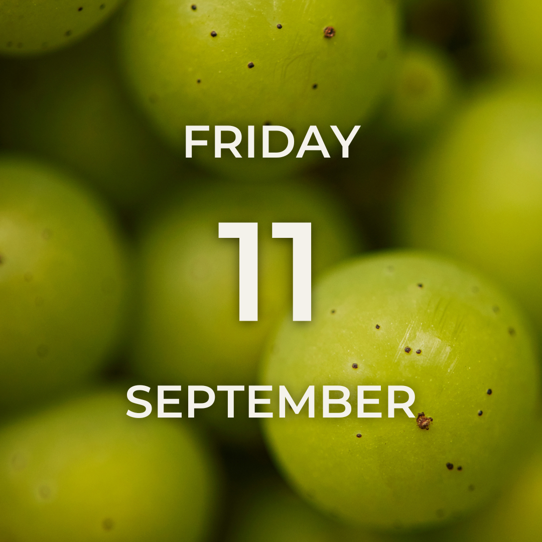 Vineyard Tour & Tasting – Friday 11th September