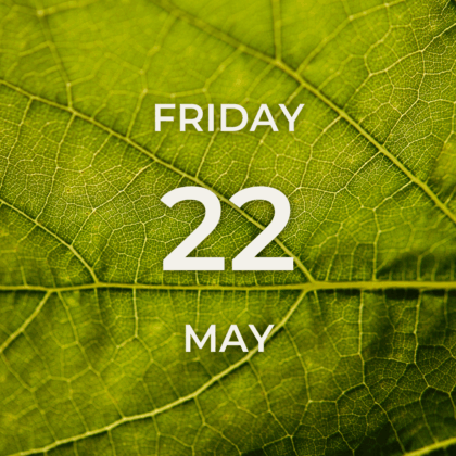 Vineyard Tour & Tasting - Friday 22nd May