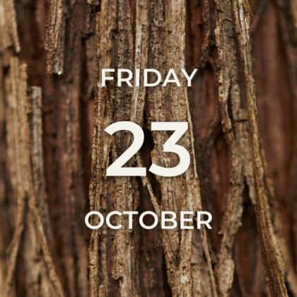 Vineyard Tour & Tasting - Friday 23rd October