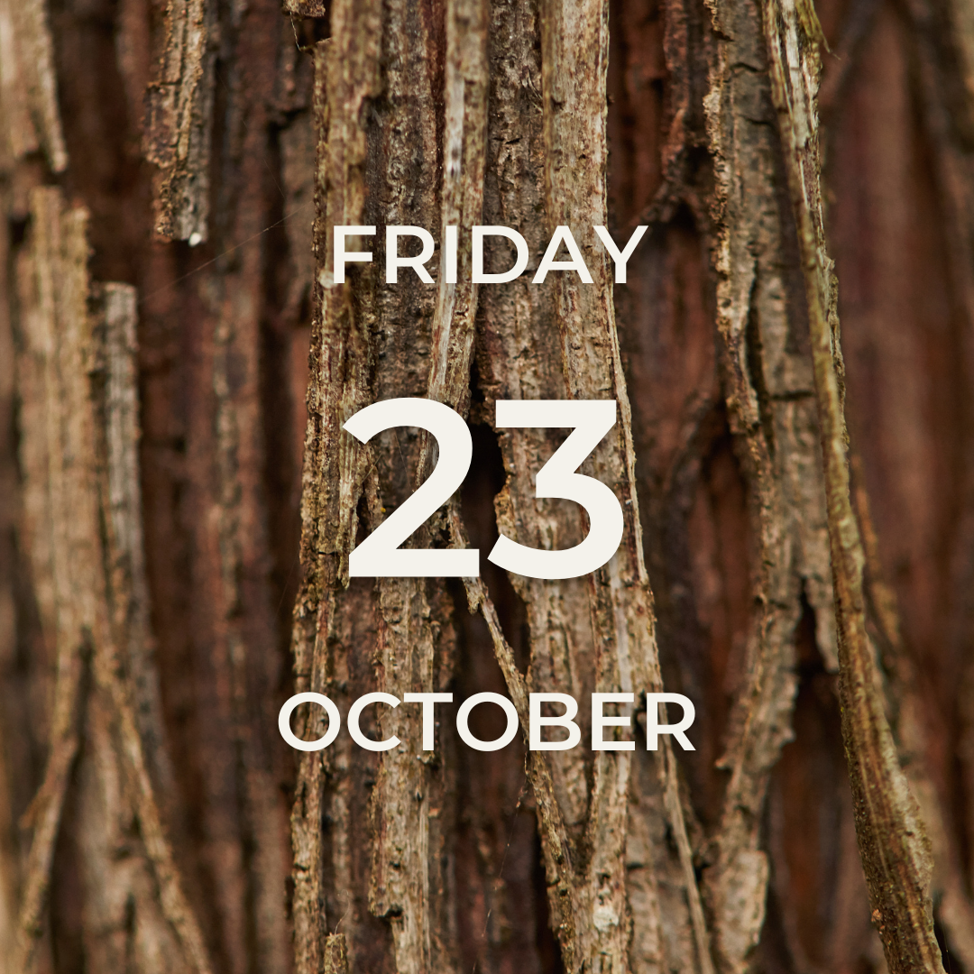 Vineyard Tour & Tasting – Friday 23rd October