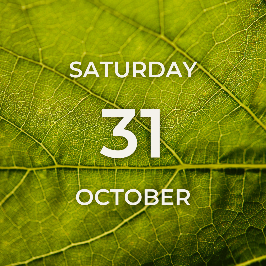 Vineyard Tour & Tasting – Saturday 31st October