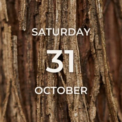 Vineyard Tour & Tasting - Saturday 31st October