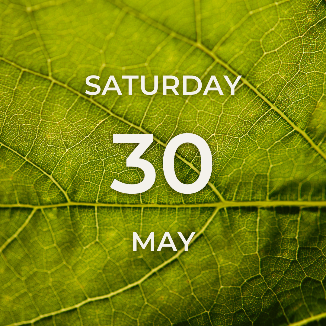 Vineyard Tour & Tasting – Saturday 30th May