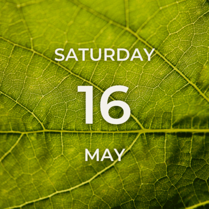 Vineyard Tour & Tasting - Saturday 16th May