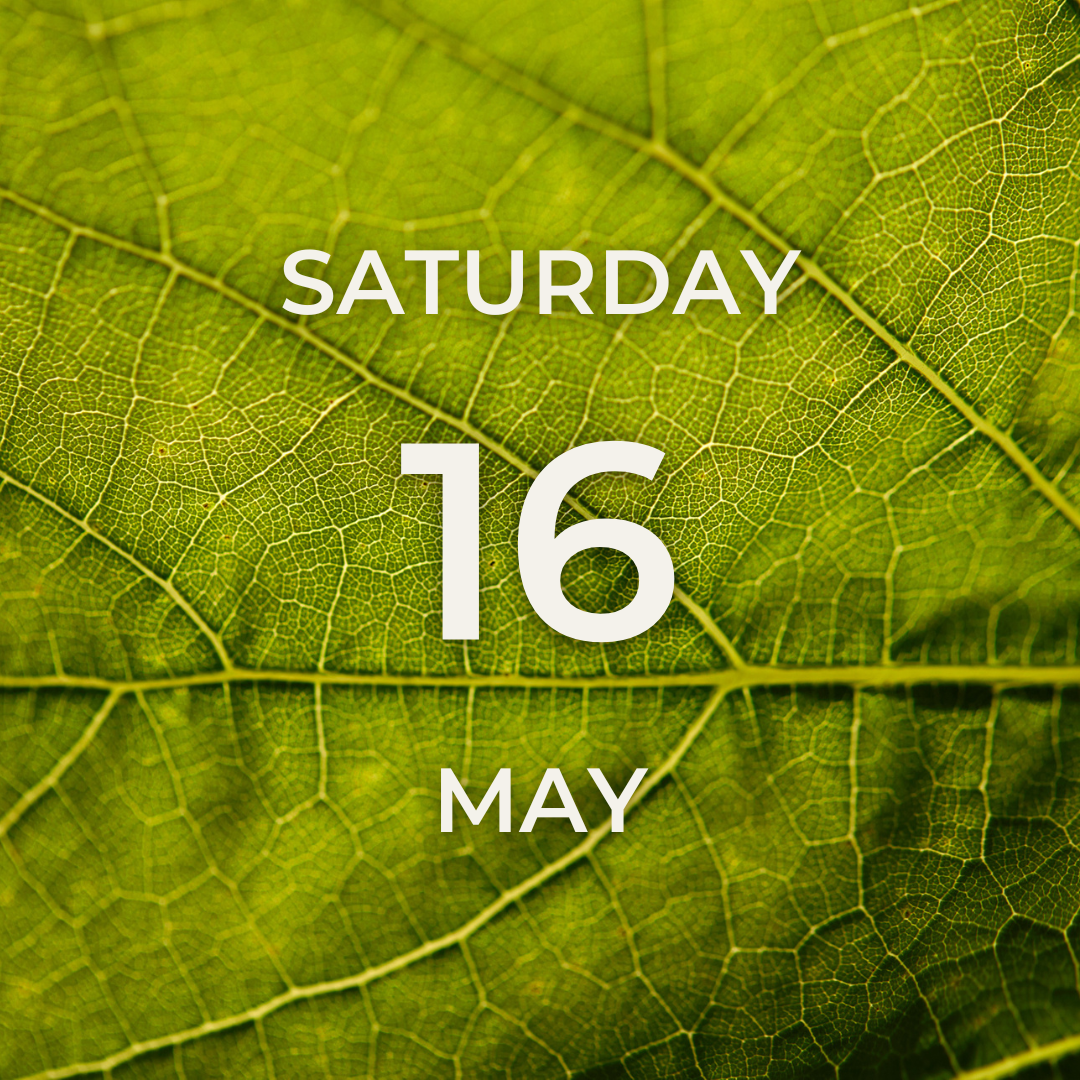 Vineyard Tour & Tasting – Saturday 16th May
