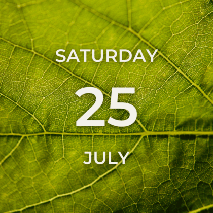 Vineyard Tour & Tasting - Saturday 25th July