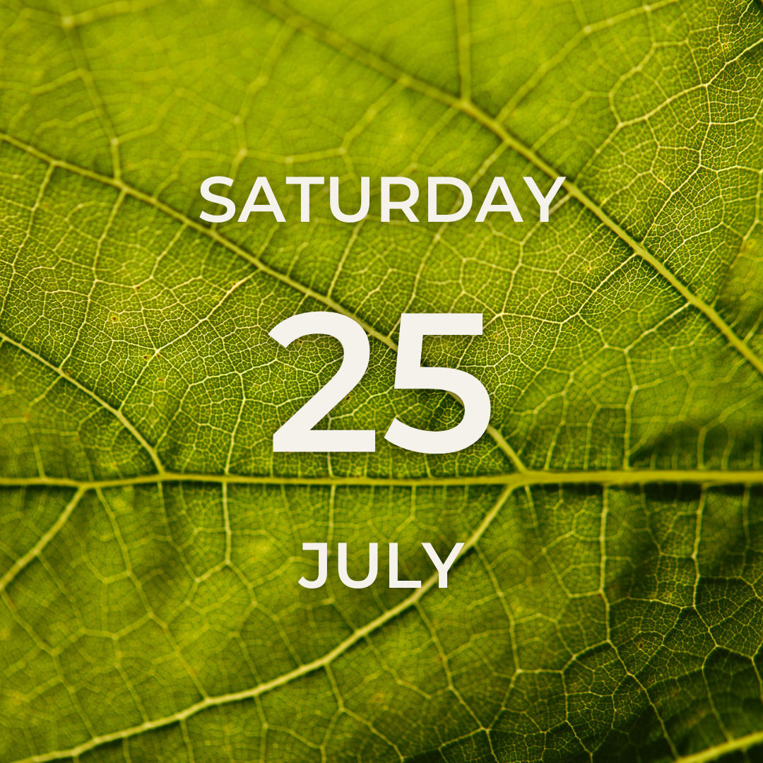 Vineyard Tour & Tasting – Saturday 25th July