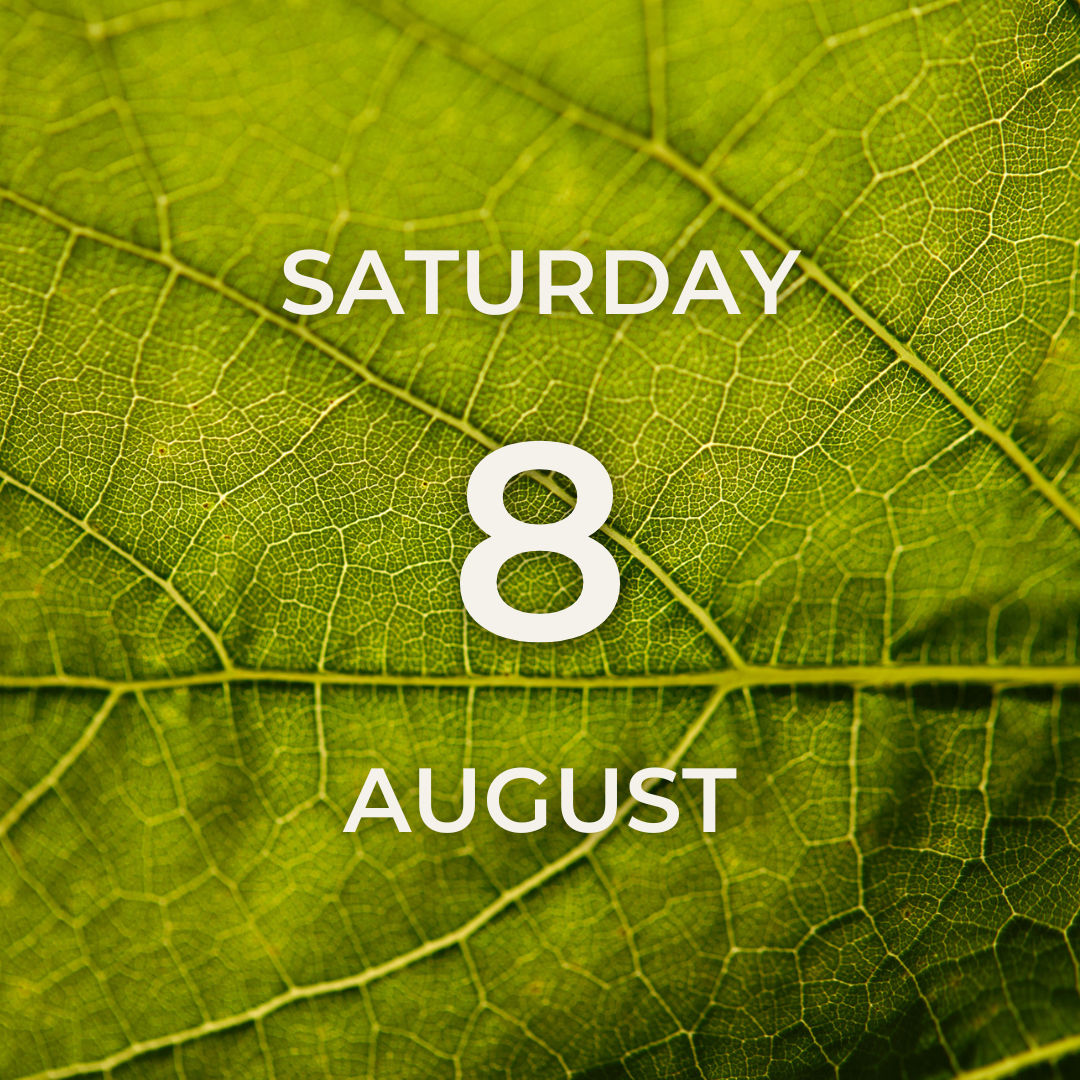 Vineyard Tour & Tasting – Saturday 8th August
