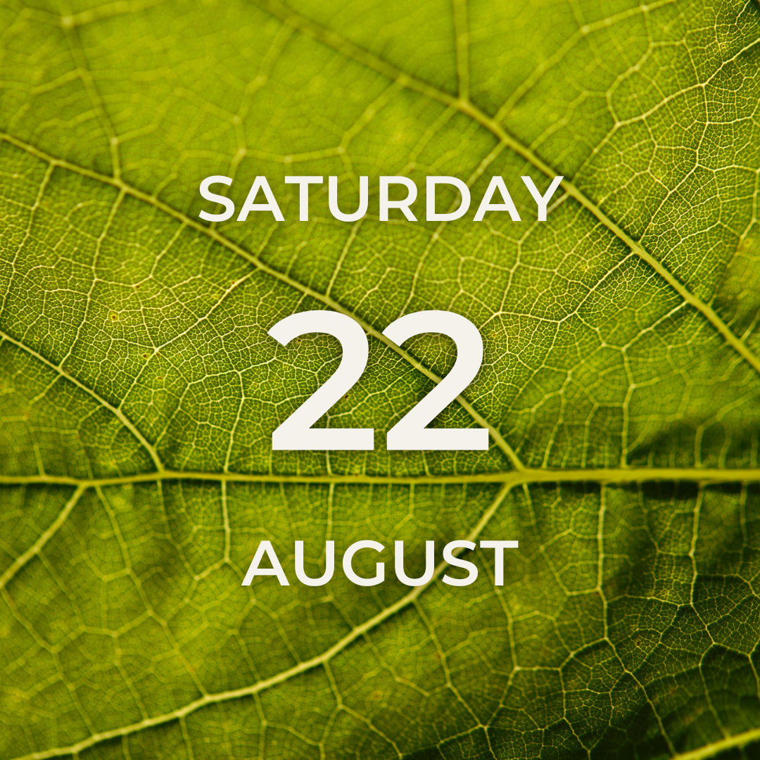 Vineyard Tour & Tasting – Saturday 22nd August