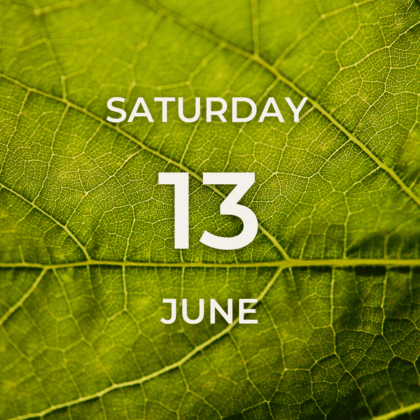 Vineyard Tour & Tasting - Saturday 13th June