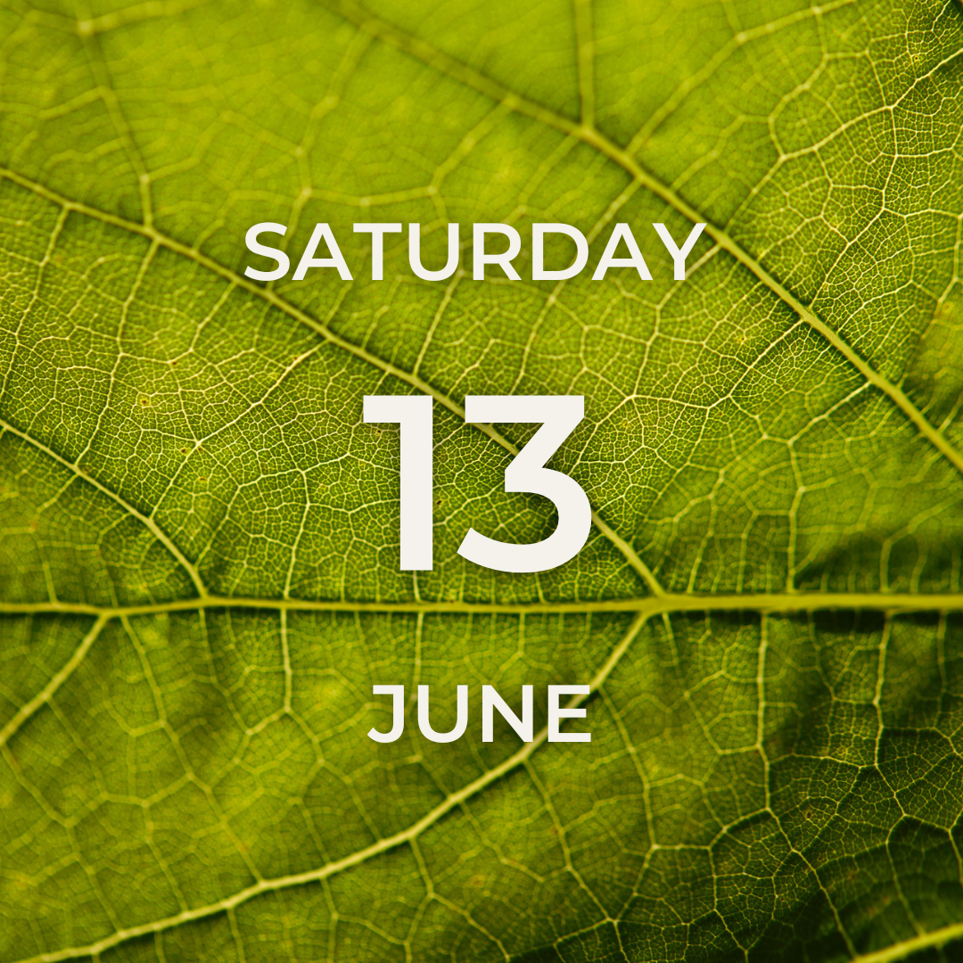 Vineyard Tour & Tasting – Saturday 13th June