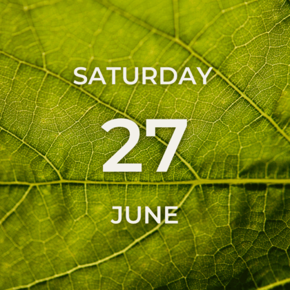 Vineyard Tour & Tasting - Saturday 27th June