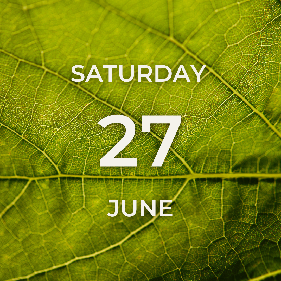 Vineyard Tour & Tasting – Saturday 27th June