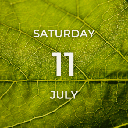 Vineyard Tour & Tasting - Saturday 11th July