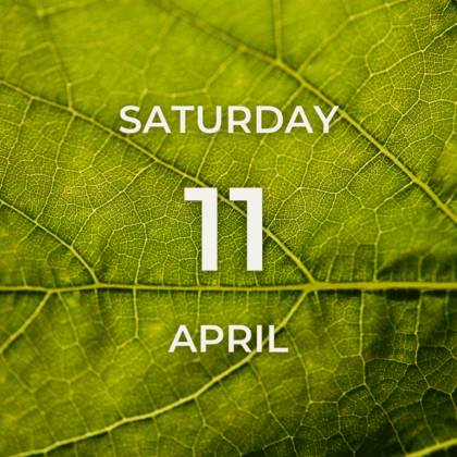 Vineyard Tour & Tasting - Saturday 11th April