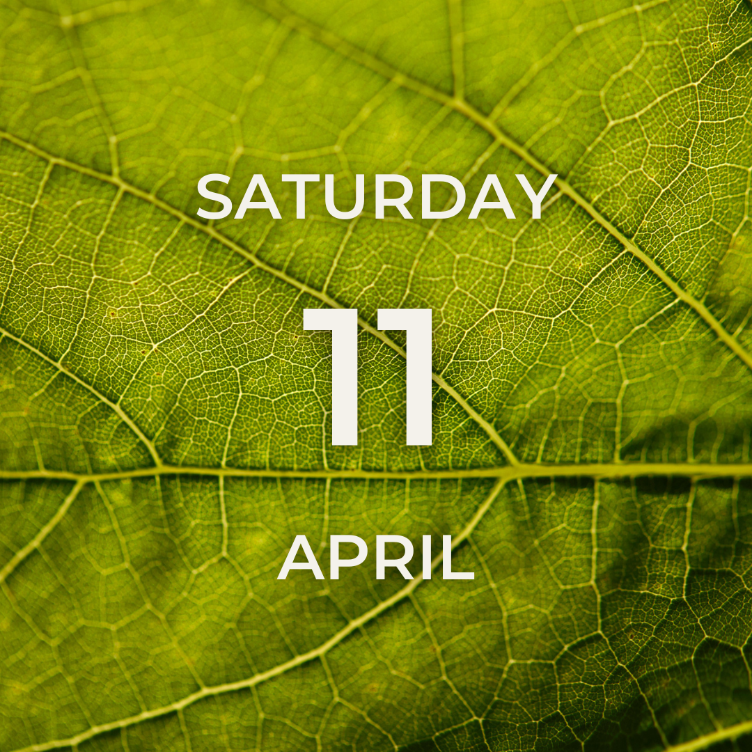 Vineyard Tour & Tasting – Saturday 11th April