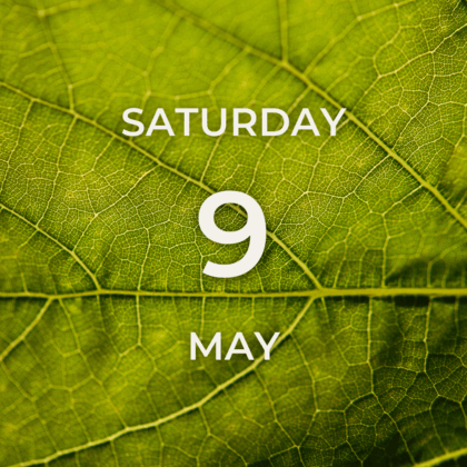 Vineyard Tour & Tasting - Saturday 9th May