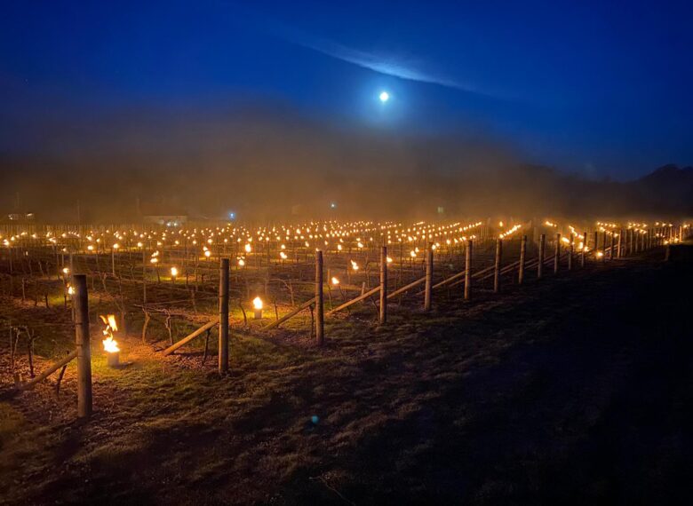 Candles across Burges Field